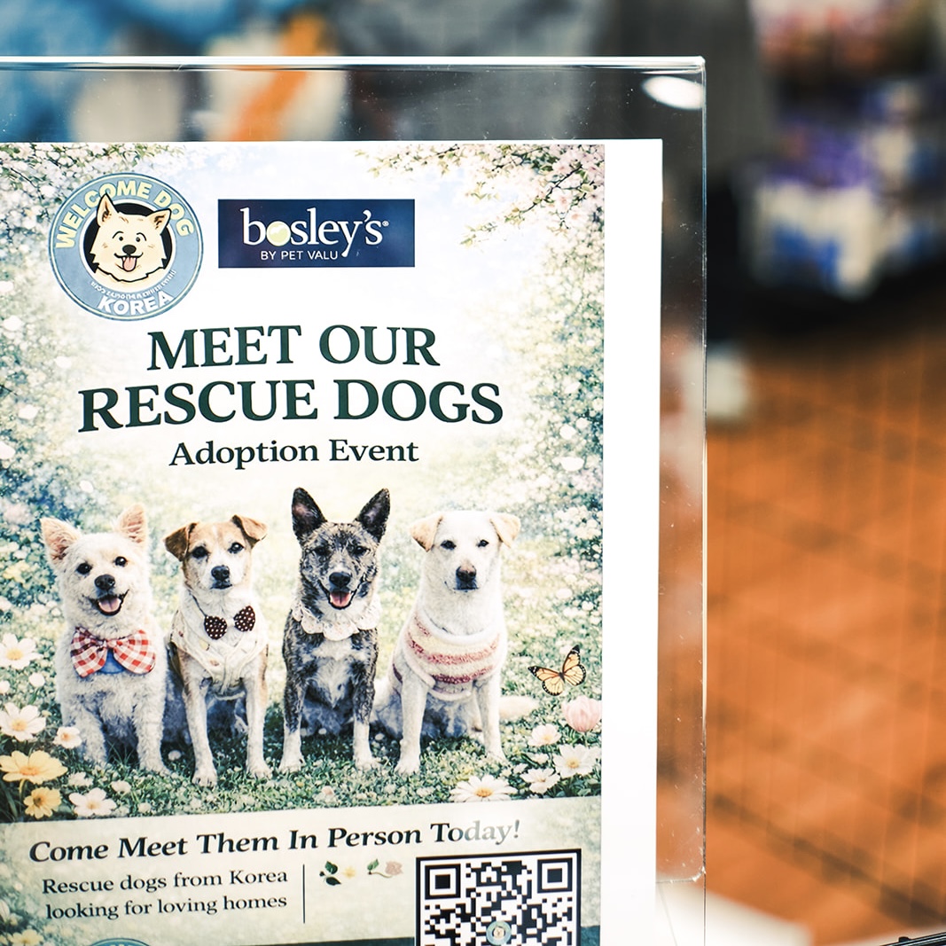 Adoption Event at Bosley's Terra Nova 